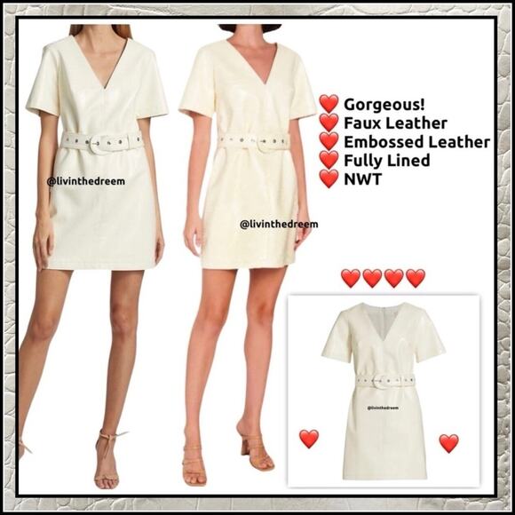 Cinq a Sept Abytha Belted Faux Leather Minidress
Alabaster SZ 8 $395 - Picture 1 of 15